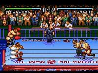 une photo d'Ã©cran de Zen Nihon Pro Wrestling sur Nintendo Super Nes